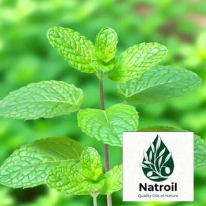 N.American Spearmint (Mentha spicata L.) 100% Essential Oil 10ml - Picture 1 of 1