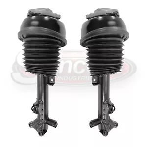 Front Air Suspension Strut Set for 2011-2016 Mercedes-Benz E250 - Picture 1 of 2