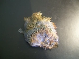 SPRAY OF FEATHERS  TOGETHER--LIGHT BLUE/BROWN AND BEIGE--4 1/2"x 6"  - Picture 1 of 1
