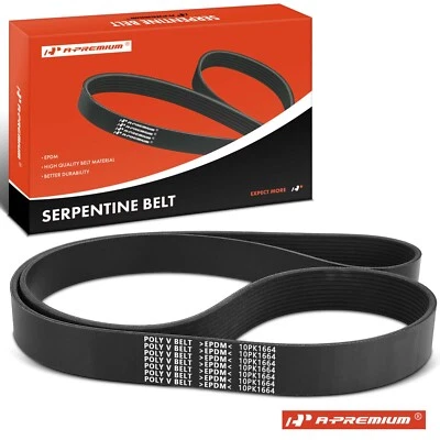 Cinturón serpentino 65,5 pulgadas para Mack CL 1998-2001 2003 DMM 1999-2000 CV 2001-2003 Foto 1 de 4