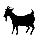 Sticker autocollant chèvre