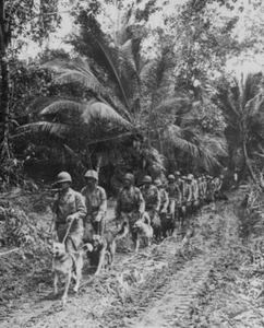 Front Lines on Bougainville World War 2 WWII 8 x 12 Photo Picture - Picture 1 of 1