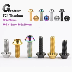 TC4 Ti Titanschrauben Konisch Zylinderkopfschrauben Torx M5 M6 für Motorrad - Picture 1 of 6