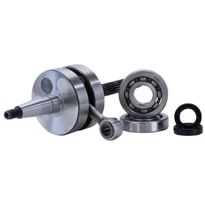 Vespa S 50 ET2 Kurbelwelle Lager Set LX Touring LXV Primavera S50 Sport ab 2004 - Bild 1 von 4