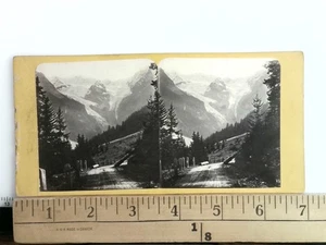 Auténtico Tirol Stilfserthal Glacier de Trafoi Stereoview c1860s Austria - Imagen 1 de 2
