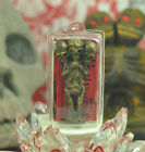 LUKOK Kuman thong Ghost Thai Buddha Amulet Talisman Holy Voodoo 3 Skull doll 