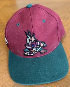 Vintage Phoenix Coyotes Sports Specialties NHL Snapback Hat - Picture 1 of 7