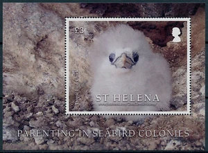 Santa Elena 2021 MNH aves en estampillas crianza en colonias de aves marinas 1v M/S - Imagen 1 de 1