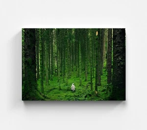 Wandbild Grüner Wald Leinwandbild Natur Landschaften Leinwand Bild Kunstdruck - Bild 1 von 5