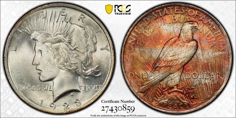 1923-P  Peace Dollar PCGS MS64 EOR TAB Striped Rainbow Toned Unique End Of Roll Cover