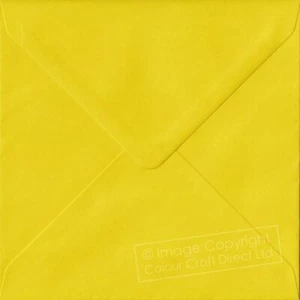 Narciso Giallo S6 - 130 mm x 130 mm 100 g/m² Buste Gommate Piccole Quadrate Colore - Foto 1 di 1