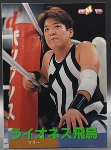LIONESS ASKA Japan Woman Pro Wrestling Card TCG Japanese BBM 1996 No.303 F/S - Picture 1 of 11