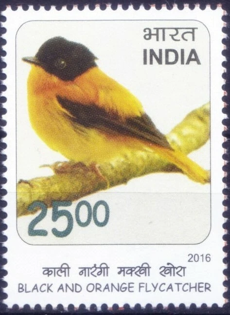 Black & Organge Flycathcer, Birds, India 2016 MNH   Foto 1 de 1