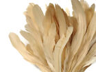 2.5  Inch Strip -  Ivory Strung Natural Bleach Coque Tails Feathers Costume Wing