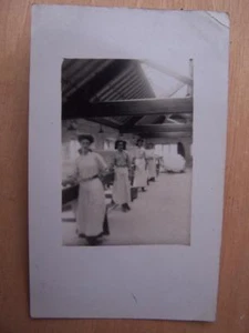 Social History - Picture 1 of 1