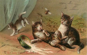 Geprägte Postkarte Tabby Katzen laufen von großer Biene oder Maikäfer & verschüttete Milch Serie 6/2 - Bild 1 von 2
