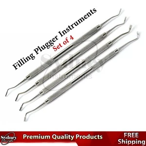 Dentist Instrument Scaler Plugger Ball Burnisher Restorative Placement - Picture 1 of 5
