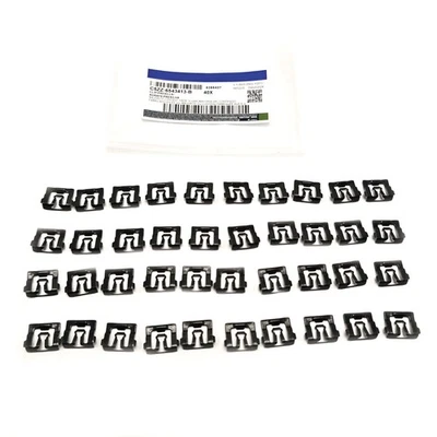For Ford F100 F150 F250 F350 Windshield Trim Molding Clips- 40 clips- #026 Foto 1 de 4