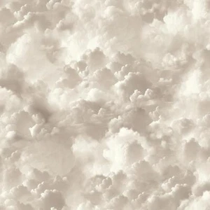 Arthouse Vanillehimmel neutrale Tapetenwolken moderne zeitgenössische Feature Wand - Bild 1 von 7