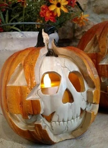 Neu im Karton 8,5" realistisches Skelett Schädel Jack O Laterne beleuchtet Halloween Requisite Dekor - Bild 1 von 12