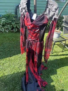Women’s Large Halloween Costume - Picture 1 of 3