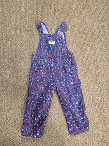 Kinder/Kleinkinder Baby Oshkosh Bgosh Blumenmuster Cord Overall 18 Monate - Bild 1 von 8