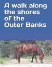 A Walk Along The Shores Of The Outer Banks A Senior Reader Pictur  Travel M