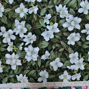 Trapunta Northcott Fabrics The State Tessuto Finto Arancione Idaho Cotone 1/2 Yd - Foto 1 di 1