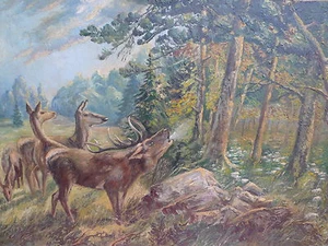 schönes, altes , großes Gemälde__Hirsch mit Hirschkühen__131cm x 92cm _! - Bild 1 von 1