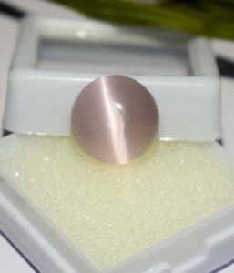 Natural Cat's Eye 6.15 Ct Cabochon Cut Ring Size Cat Eye's loose Gemstone - Picture 1 of 6