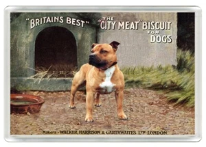 STAFFORDSHIRE BULL TERRIER DOG FOOD ADVERT ART PRINT NOVELTY FRIDGE MAGNET GIFT - Picture 1 of 1
