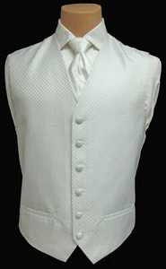 Men's Light Silver Tuxedo Vest and Long Tie Platinum Formal Wedding Prom Large L - Picture 1 of 5