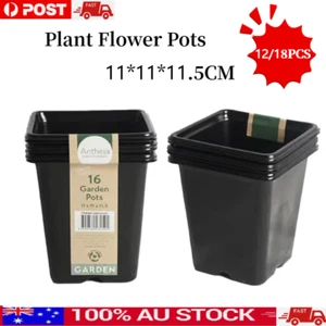 12/18x Black Square Garden Seeding Pots Plant Plastic Nursery Grower Decoration - Picture 1 of 2