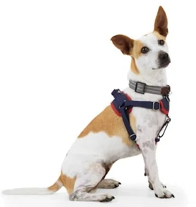 Reddy Step In Dog Harness L , Blue/Red - Picture 1 of 3