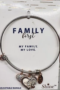 Footnotes Expandable Bracelet Family First My Family My Love NEW! B-3 - Picture 1 of 5