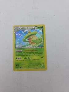 Ludicolo 12/160 - Holo Raro Pokemon XY Primal Clash Card - Imagen 1 de 3