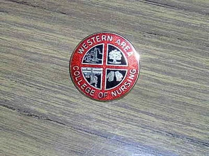 Western Area College of Nursing Altnagelvin hospital badge N Ireland obsolete - Picture 1 of 5