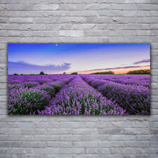 Image sur verre Tableau Impression 120x60 Nature Prairie Fleurs