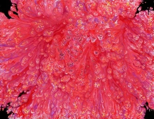 Painting. HUGO AZCUY. S/T8 - TECNICA MIXTA SOBRE LIENZO 90 x 70 CM - Imagen 1 de 1