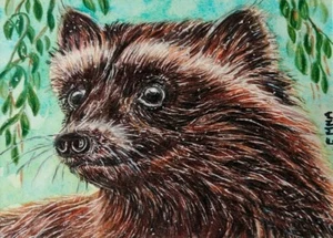 Impresión ACEO - WOLVERINE - animales salvajes vida silvestre NATURALEZA miniatura boceto tarjeta EMMA - Imagen 1 de 3