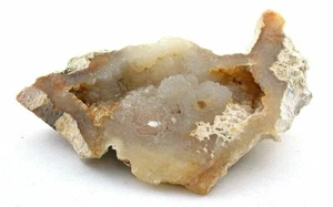 Coral Fossil Fossilized Prehistoric Slice Specimen Gemstone Cabochon Rough PFC4 - Picture 1 of 2