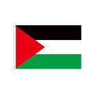 Celebrate With A Festive Palestine Flag 60X90cm For For Parties And Events