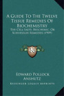Edward Pollock Ans A Guide To The Twelve Tissue Remedies Of Biochemi (Paperback)