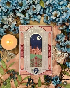 Signiert Until the Stars Fall von Vanessa Rasanen Midnight Whispers Neu in Kunststoff - Bild 1 von 12