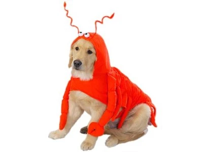 Casual Canine Lobster Paws Dog Costume - Image 1 of 2