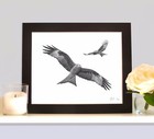 RED KITES Birds of Prey Art Print Drawing Picture MOUNTED Handmade Wall Art
