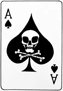 Vietnamkrieg Ära - Ace of Spades Death's Head Karte - Poster - Bild 1 von 1