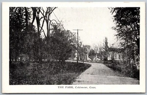 Vintage Colchester Connecticut CT The Park 1920er Jahre alte Ansicht Postkarte - Bild 1 von 2