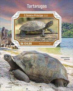 St Thomas - 2021 Turtles, D'Orbigny's Slider - Stamp Souvenir Sheet - ST210310b