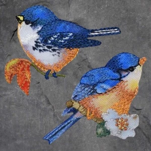 Bluebird Patch Set - White Flower, Branch, Leaves, Bird, Nature (Iron On) - Picture 1 of 1